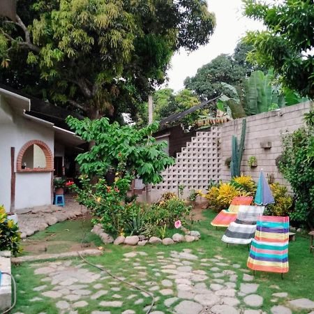 Hermoso Palomino Exterior foto