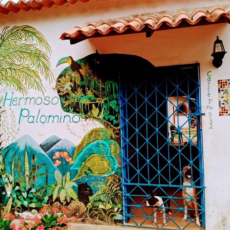 Hermoso Palomino Exterior foto